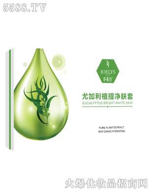 �V��╆�����Ƽ����޹�˾���ȼ���ֲ����w�׆��R��