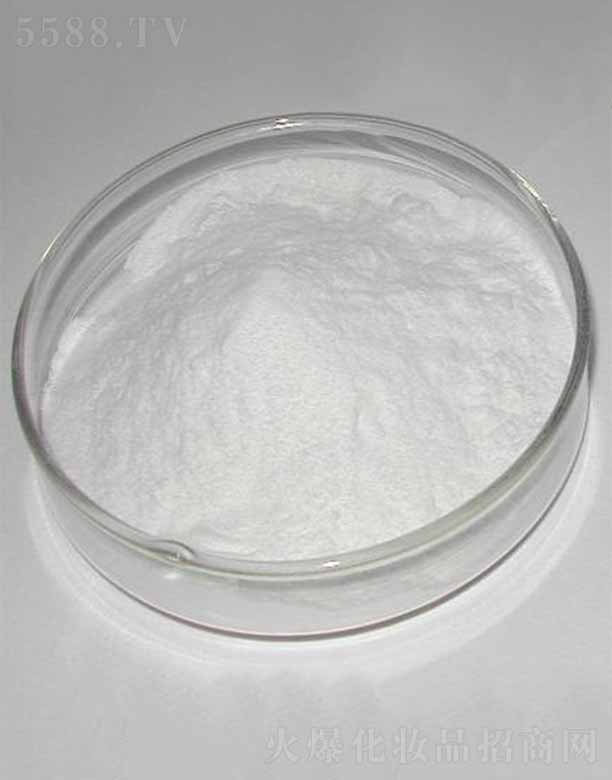 �ɶ������������޹�˾������-9/������/������