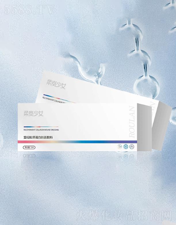 �����t�����Ƽ����޹�˾���፹�ؽM�zԭ���ׄ�(chu��ng)�����