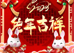 玉兔送福，開(kāi)門(mén)大吉！廣東微肽給您拜年了！