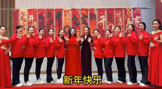 蛇年好運(yùn)至，幸福滿人間！飛斯達(dá)祝您百事從歡，一路向陽(yáng)！