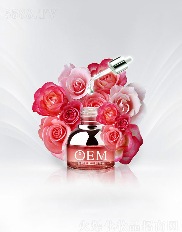 õ�弚��ԭҺOEM