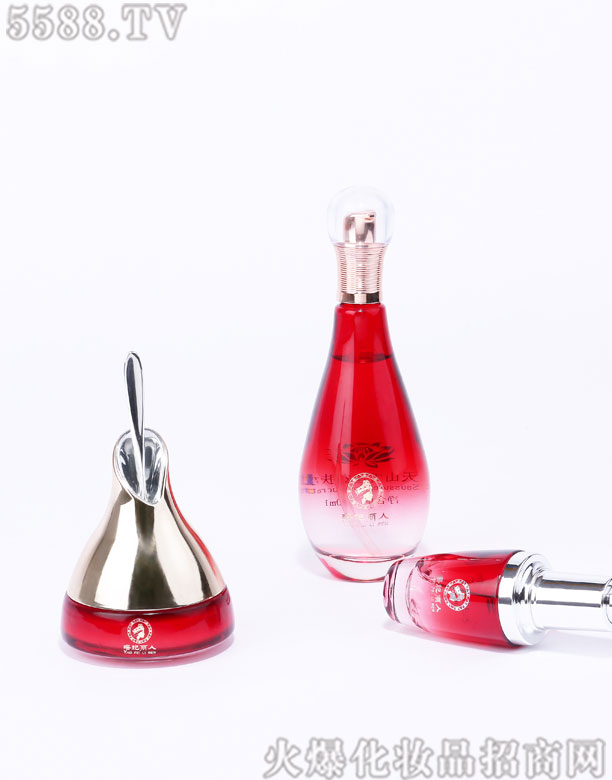 ����������ɽѩɏϵ��