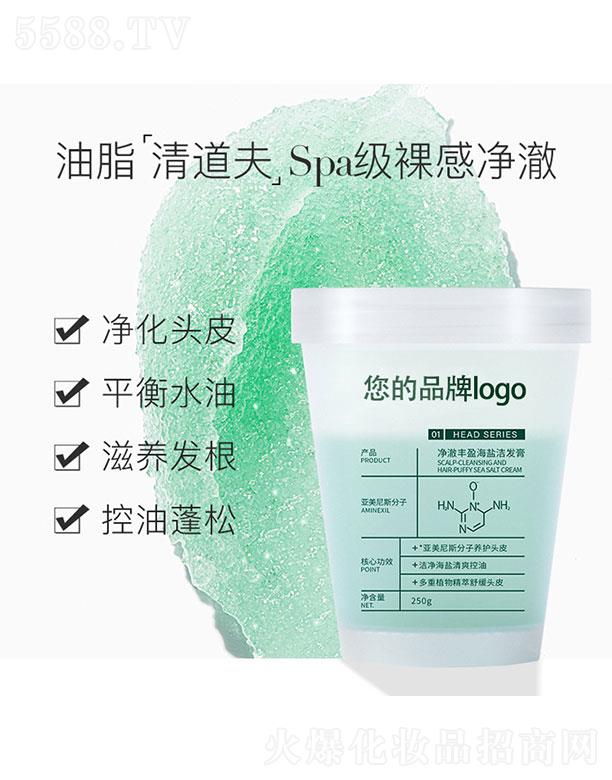 �V�݌�������Ƽ����޹�˾�������Sӯ���}���l(f��)��