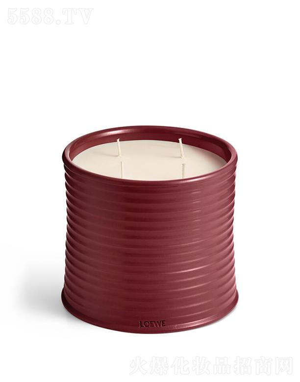 LOEWE��̖(h��o)��˸��㾫Ϟ�T 100����
