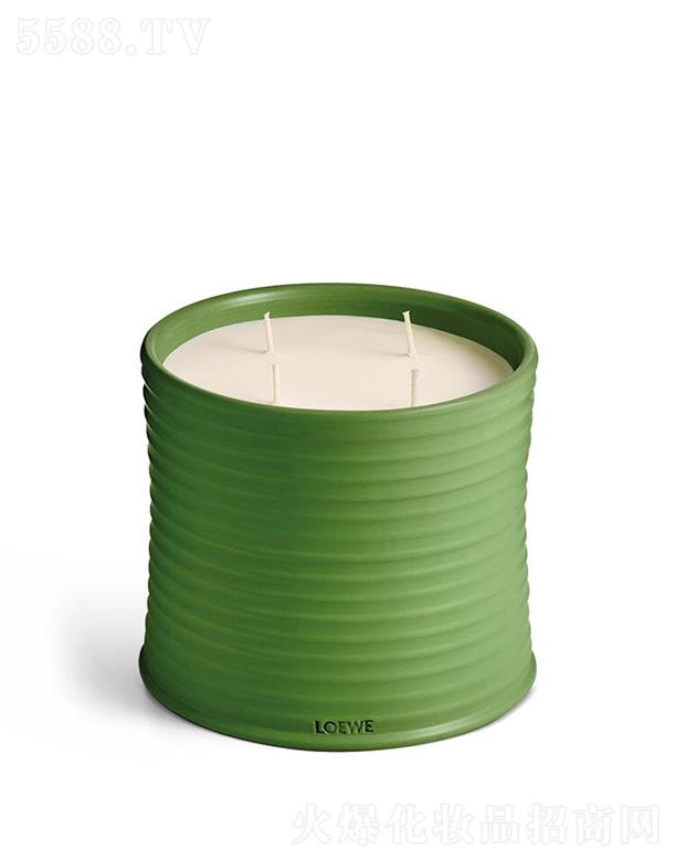 LOEWE��̖(h��o)���㶹�㾫Ϟ�T 100����