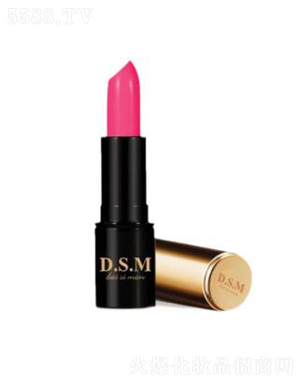 D.S.M��z���������пڼt106 ������B(y��ng)����