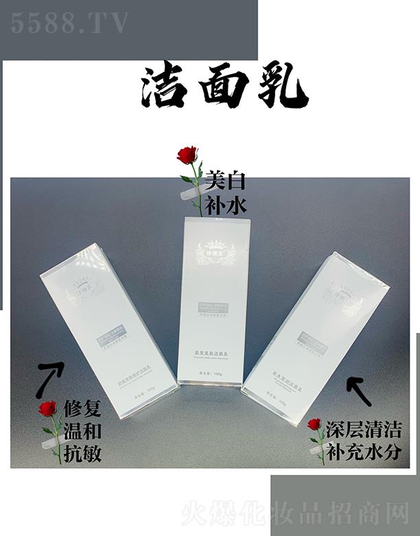 �V���л���ɏ ���������� 100g