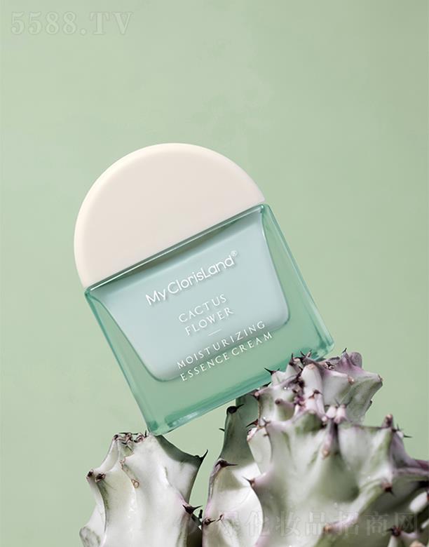 ���ޢ�����ƻ������ߝ�(r��n)���A˪ 50g