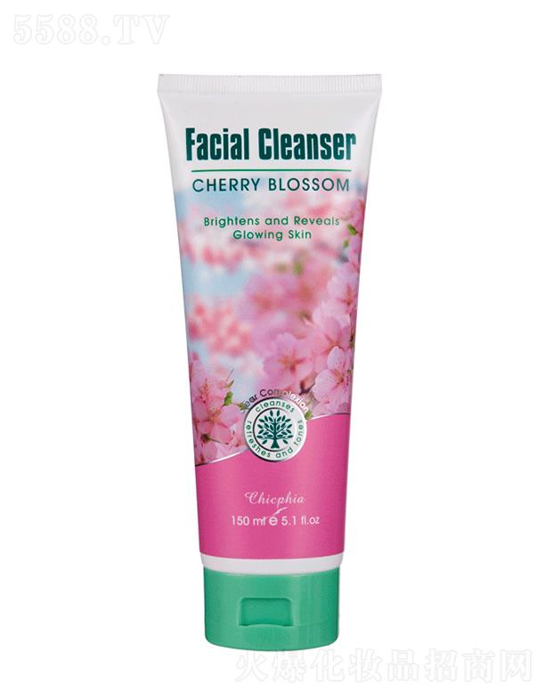 ٻ��CHERRY-BLOSSOMϴ����