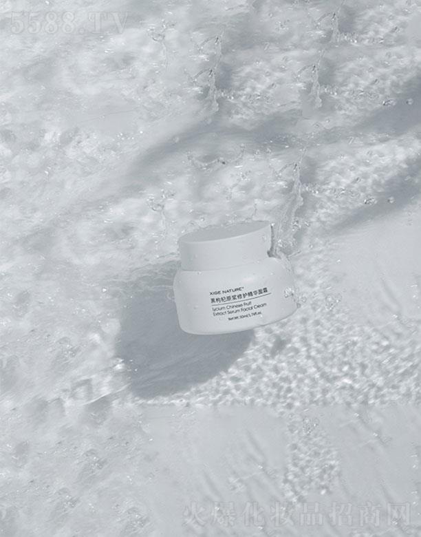 ��w�����ԭ�{���o���A��˪