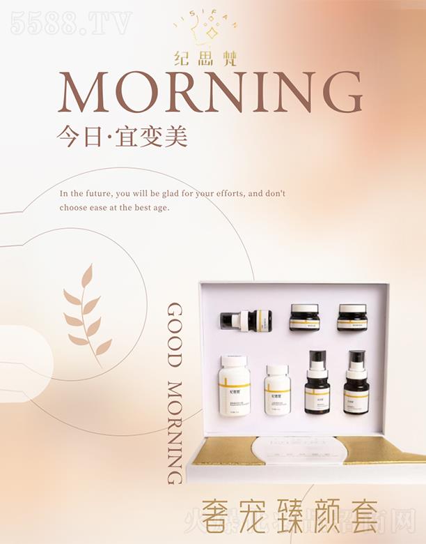 �o˼���݌������