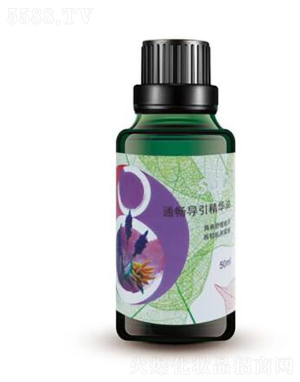 SOQI �ͷ���޹���͡�����ˬ���㾫�A��