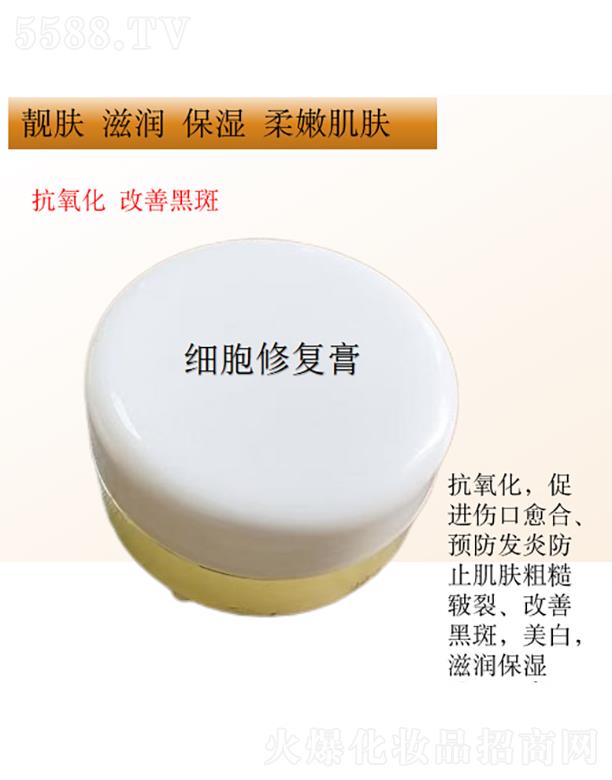 ��(x��)���ޏ�(f��)��