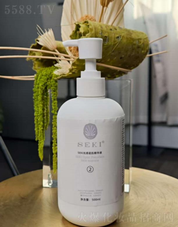 �������H����Ƽ����޹�˾��SEKI�z�����дɼ����A