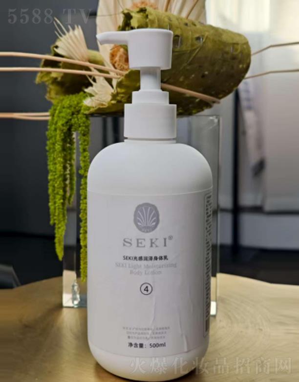 �������H����Ƽ����޹�˾��SEKI�z�����Н������w��