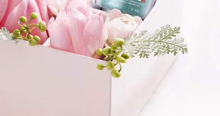 伊洛菲雪絨花修護(hù) 伊洛菲雪絨花修護(hù)