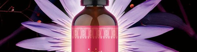 �����_��侫��