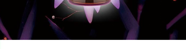 �����_��侫��