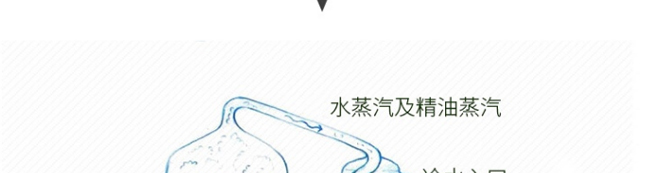 �����_��侫��