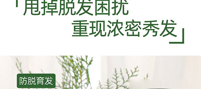 ���ϼ���ɽ����ԭ�{