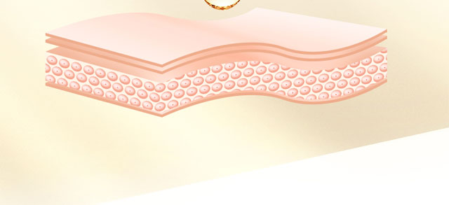 ��ȟoϾ���ʾ��AҺ