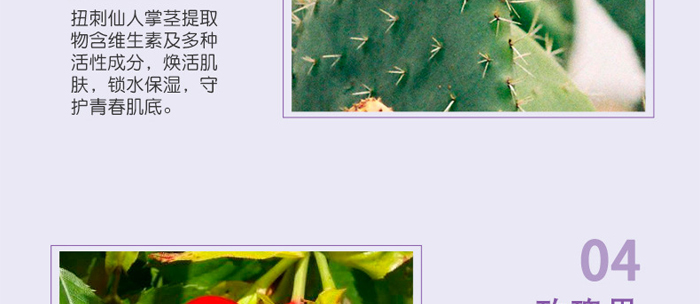 �S�c�ʗ�ѩɏ����͸�������_(k��i)16