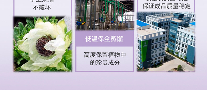 �S�c�ʗ�ѩɏ����͸�������_(k��i)24