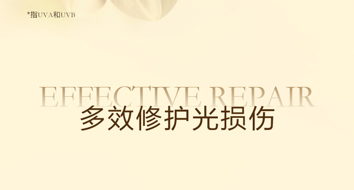 �ŭZ���ļ����o���x��-