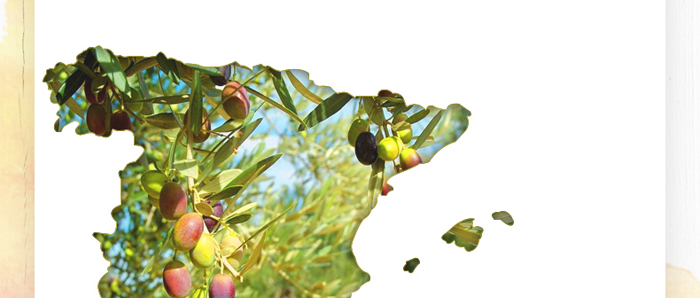 �������ϙ��;��AҺ